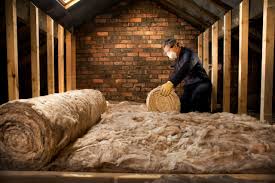 Best Eco-Friendly Insulation Solutions  in Ottawa, IL